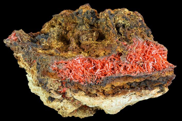 Bright Orange Crocoite Crystal Cluster - Tasmania #106816